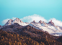 开云体育在线：让激情与数据共振的体育新纪元